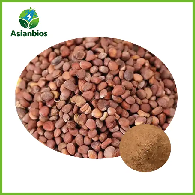 Raphanus Seed Powder Raphanus Seed Powder